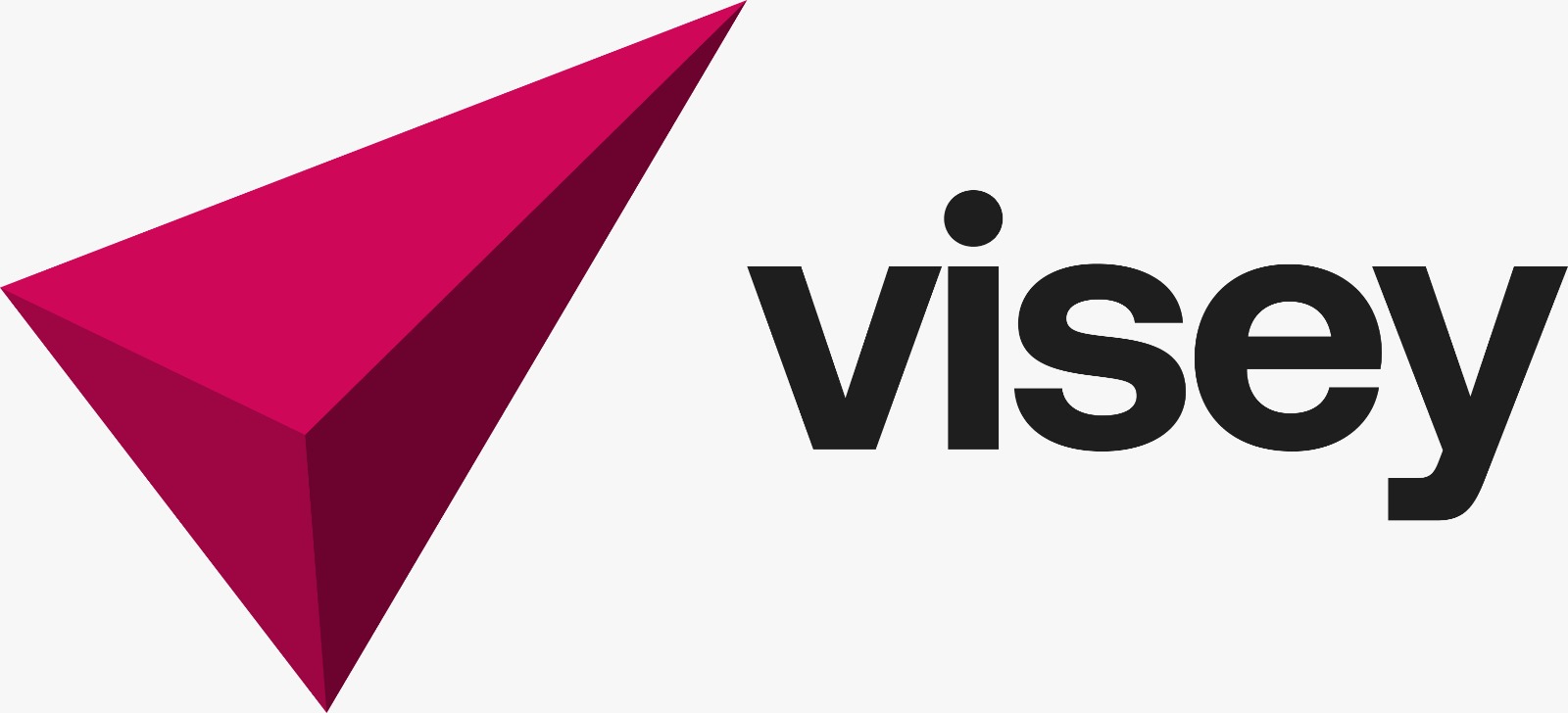 Visey logo